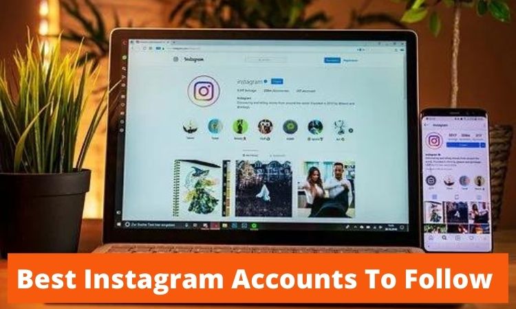the best Instagram accounts to follow up and coming musician the best Instagram accounts to follow up and coming musician