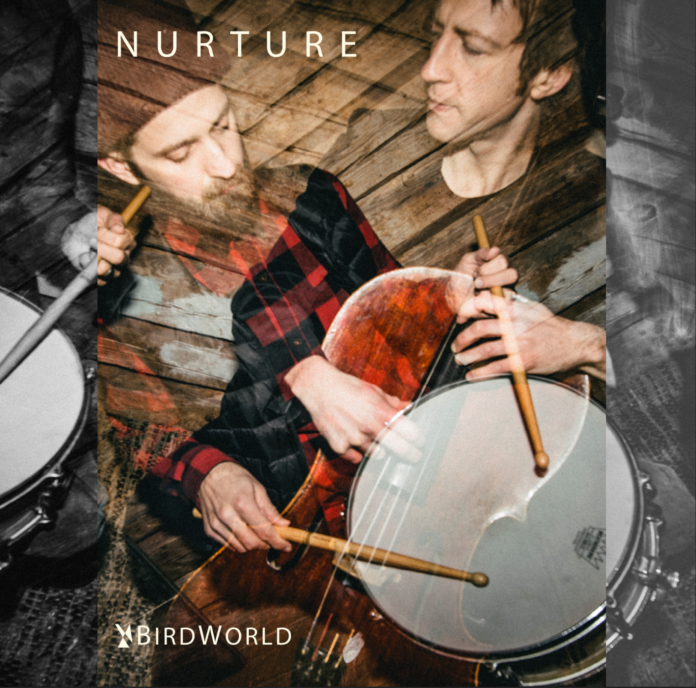 BirdWorld Nurture (Album Review)