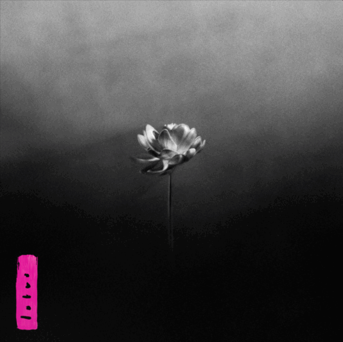 Little Simz Lotus Album Review Little Simz Lotus Album Review